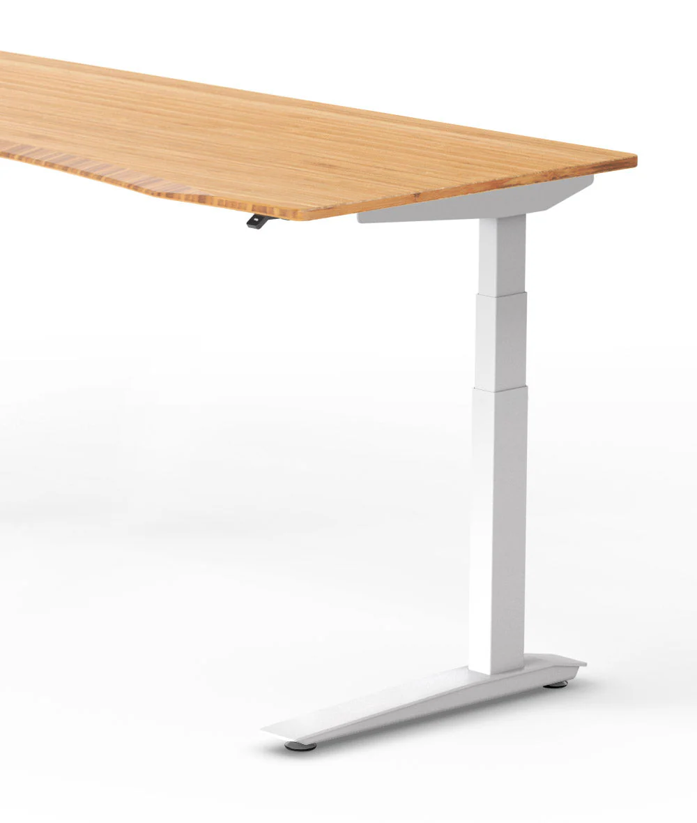 Thumbnail 28